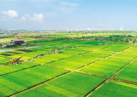 海南多行动“开源”补充耕地指标