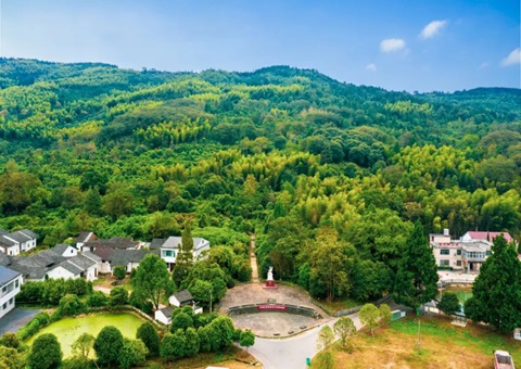 湖北首本“实景三维影像模型”林权不动产权证书在咸宁宣告