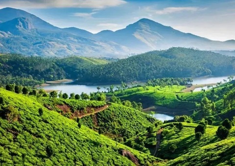 陕西在全国率先成立省级天然资源领域生态；ぷ菹蜃酆吓獬セ