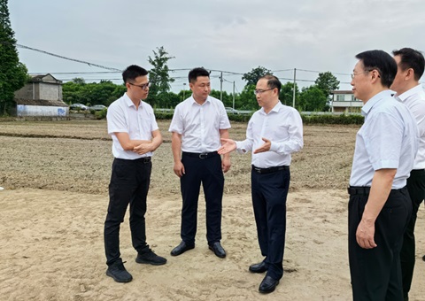 胡云赴眉山调研耕地；だ煤透叱叨扰┨锝ㄉ韫ぷ