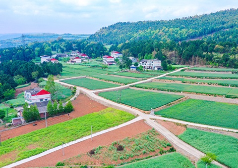 广元市奉杏装卫星田长”科技助力精准；じ