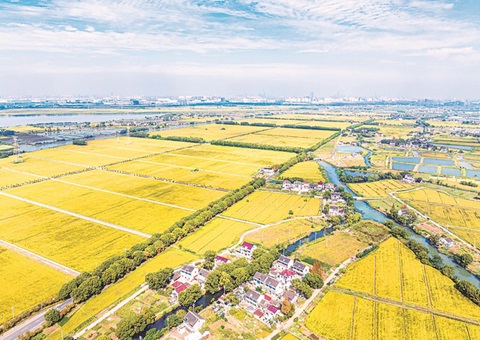 江苏省全面尝试用地用林归并审批