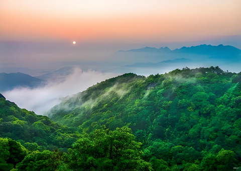 福建丛林提质四大行动打造苍生“幸？可健