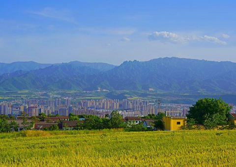 宝鸡市提交永远根基农田储蓄库成就