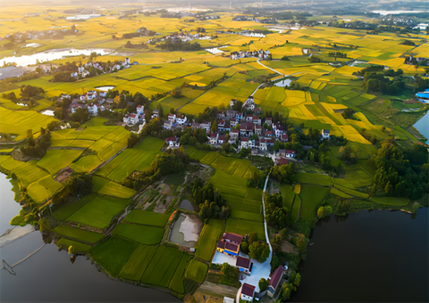 天然资源部调研广汉全域地皮综合整治工作