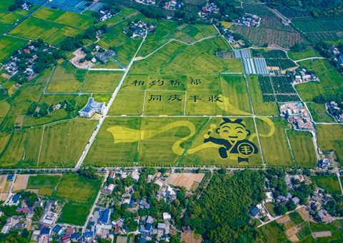 成都颁布耕地；す婊〗10年这样筑牢“天府粮仓”根基