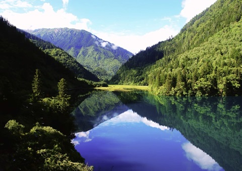 预计2025年底，四川省“林粮”产量1500万吨、产值1800亿元