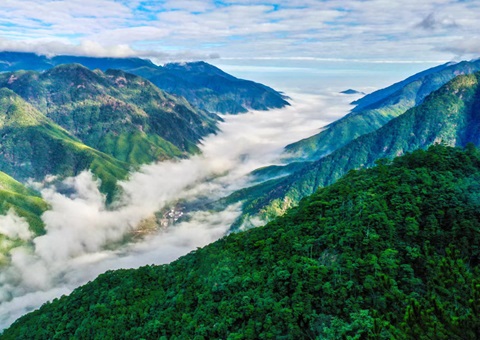 “组合包”，通顺生态产品价值转化