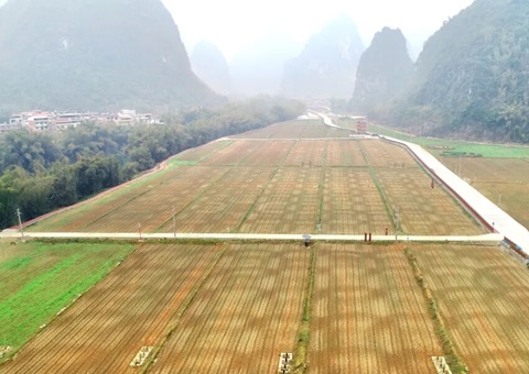 广西首批300万元全域地皮综合整治嘉奖性补助兑现   推动“依效奖补、以评促建”落地