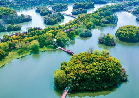 江西省湿地；ぢ室汛61.99%