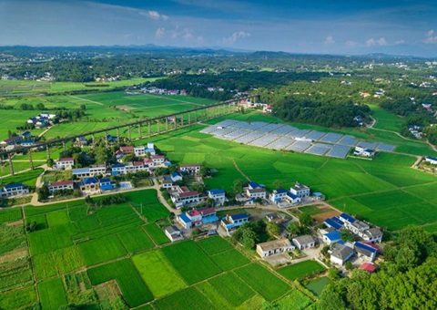 湖南：靶向发力盘活存量地皮资产<br>为206家机关企事业单元定造措置规划，盘活地皮2.6万亩