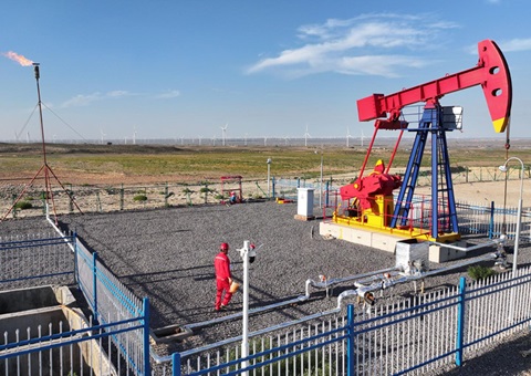 宁夏纵深推动新一轮找矿突破战术行动，执行一批煤层气、页岩气、煤炭等勘查项目