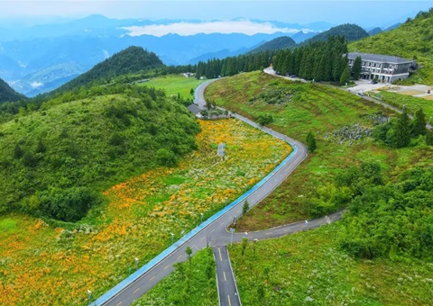 沉庆云阳：全国首例，获批1.8亿！