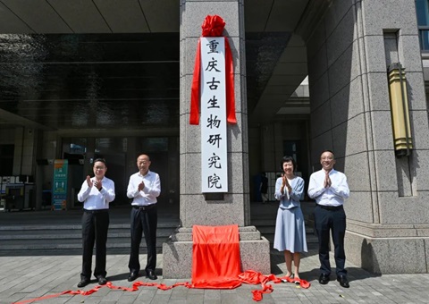 沉庆古生物钻研院挂牌成立 系全国首个省级古生物钻研院