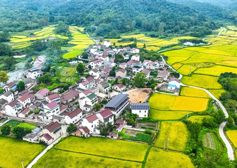 安徽省天然资源厅：130个乡镇耕地；こ删屯蛊 获赔偿激励1.3亿元