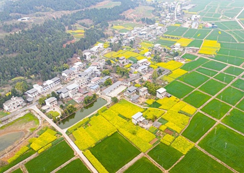 四川省委办公厅、省当局办公厅印发《关于深入村落地皮身分市场化鼎新的定见》