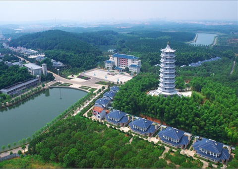 湖北：用好“一张图” ，智治有支持