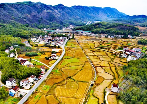 湖北试点涉农信誉价值贷款