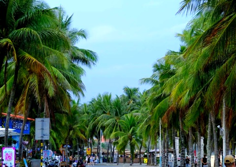 建“清冷城视妆，海南有何“凉方”?