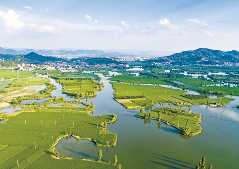 浙江率先完玉成国首个国度公园资产查究试点和全省域建设用地使用权情况查究。