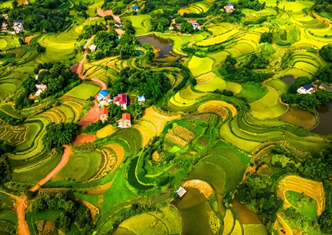 @农夫伴侣 2025年沉庆市耕地地力；げ怪婊戳