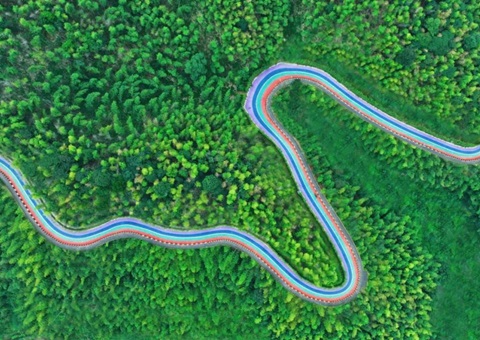 组合供给出新招，竹海收益节节高——桃江县“桃花江竹海”天然资源资产组合供给推动生态产品价值实现案例