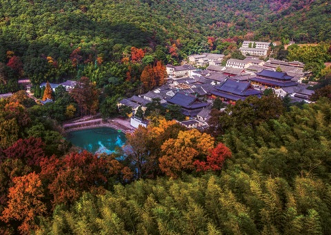 浙江：丛林公园生态游览若何高质量发展？